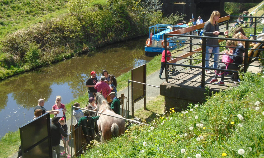 Family Open Days at Lambhill Stables